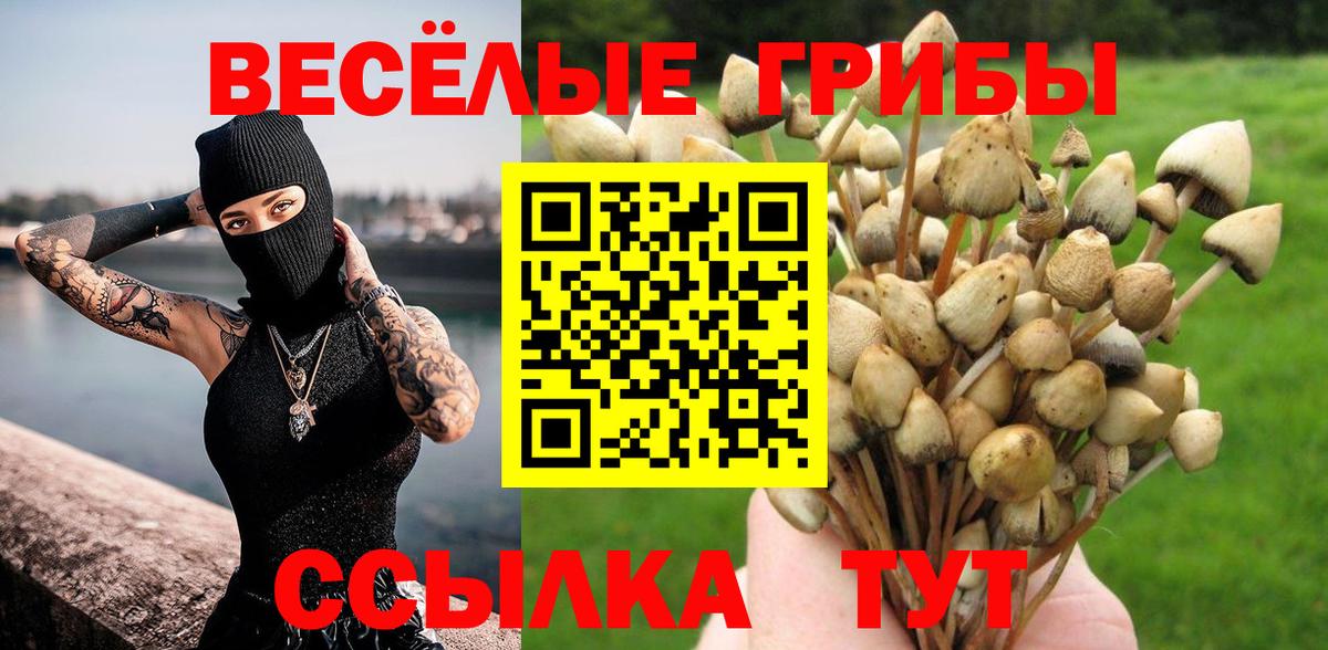 Псилоцибиновые грибы GOLDEN TEACHER Вичуга